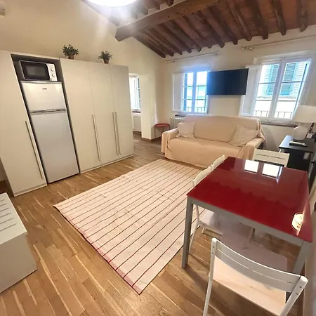 Palazzo Civetta, Gufo Reale In Center Town * Lucca