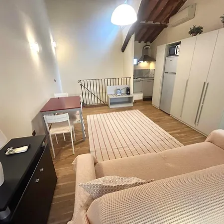 Palazzo Civetta, Gufo Reale In Center Town Lucca